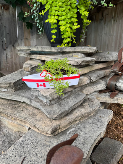 Classic Speedboat Planter | Decorative Basket